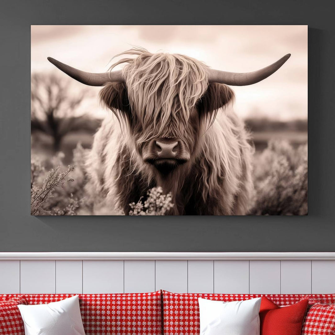 Scottish Cow Longhorn Wall Art Canvas Print