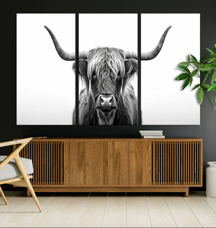 Scottish Cow Longhorn Wall Art Canvas Print