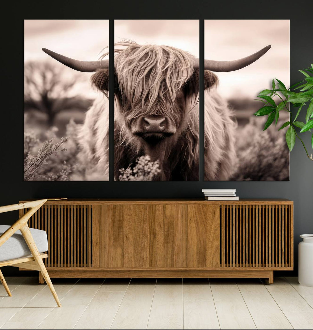 Scottish Cow Longhorn Wall Art Canvas Print