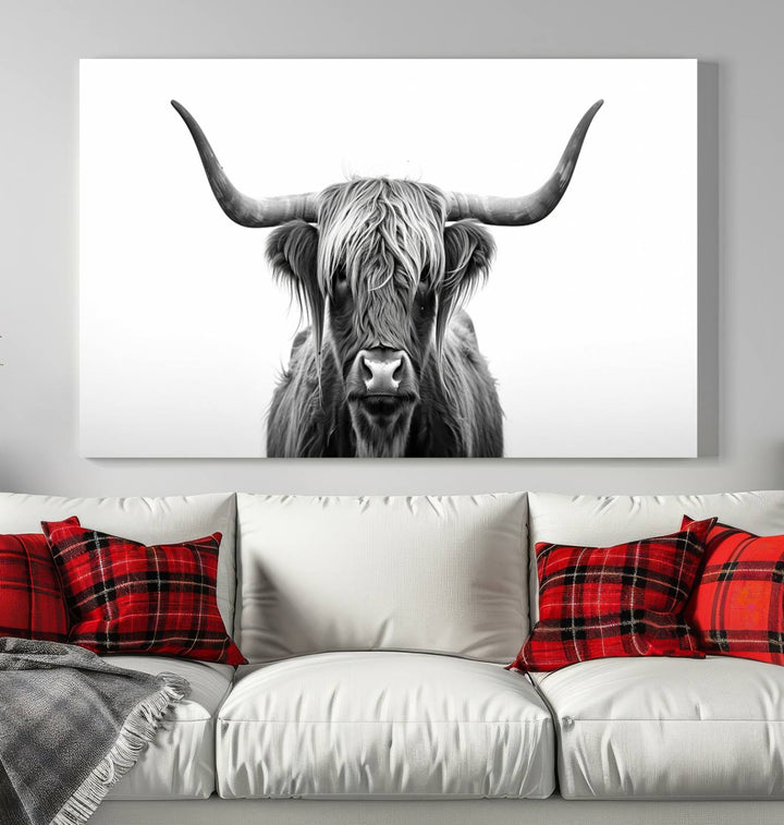 Scottish Cow Longhorn Wall Art Canvas Print