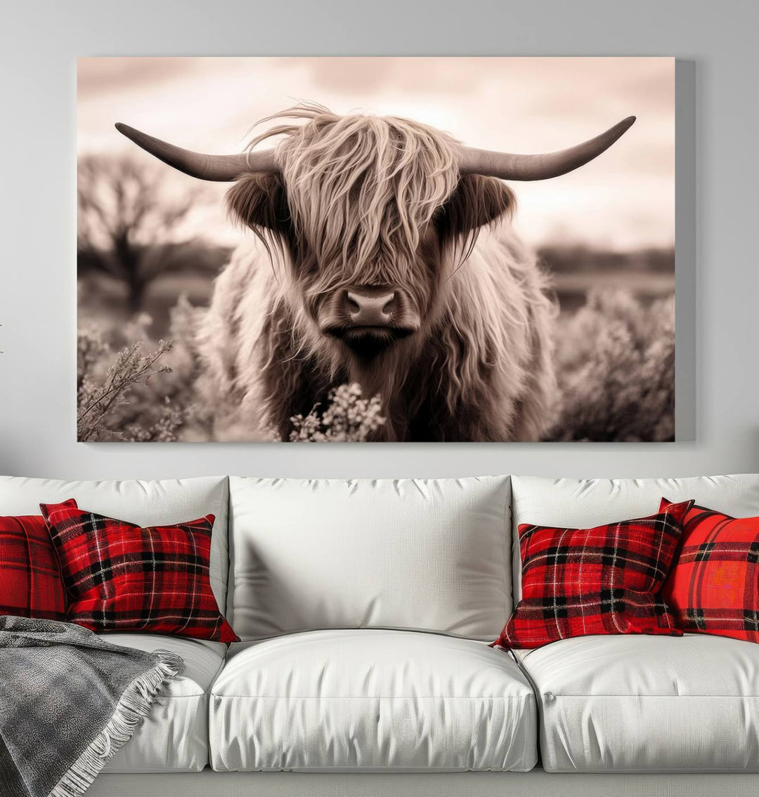 Scottish Cow Longhorn Wall Art Canvas Print