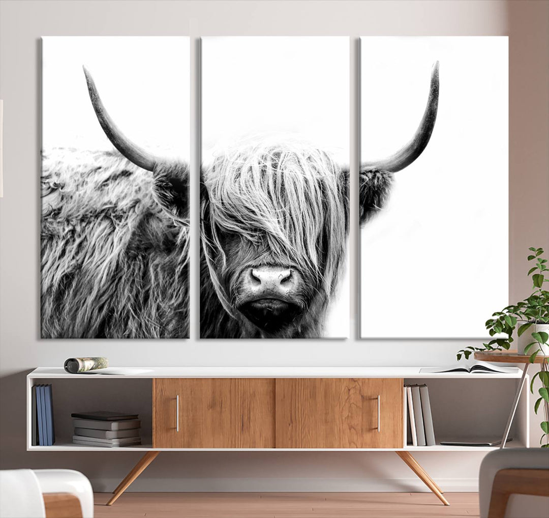 Scottish Cow Stuffed Animal Wall Art Canvas