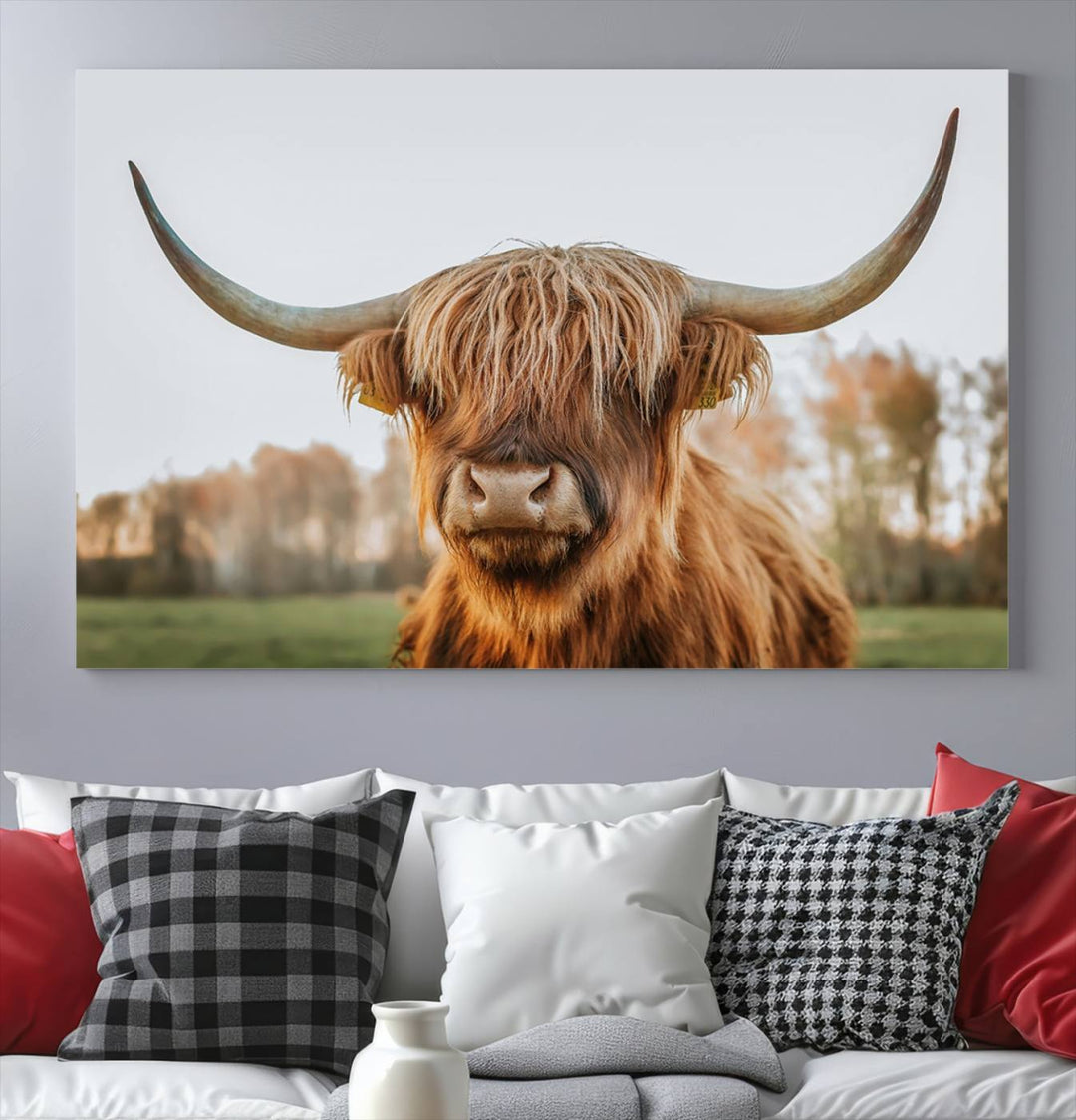 Scottish Cow Stuffed Animal Wall Art Canvas