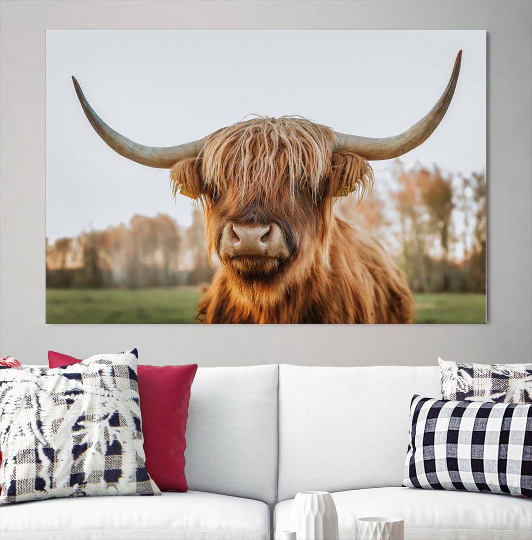 Scottish Cow Stuffed Animal Wall Art Canvas