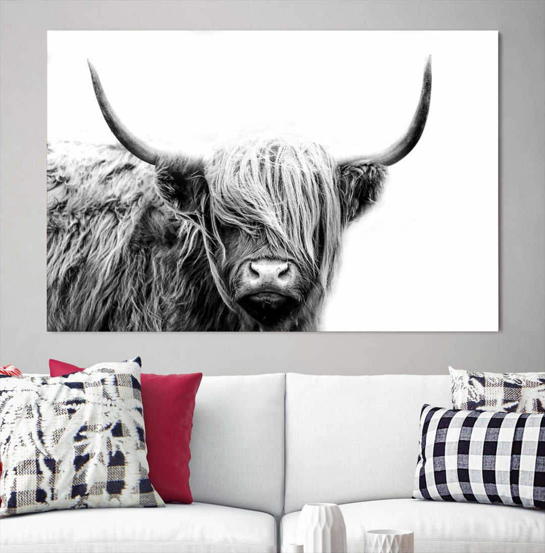 Scottish Cow Stuffed Animal Wall Art Canvas