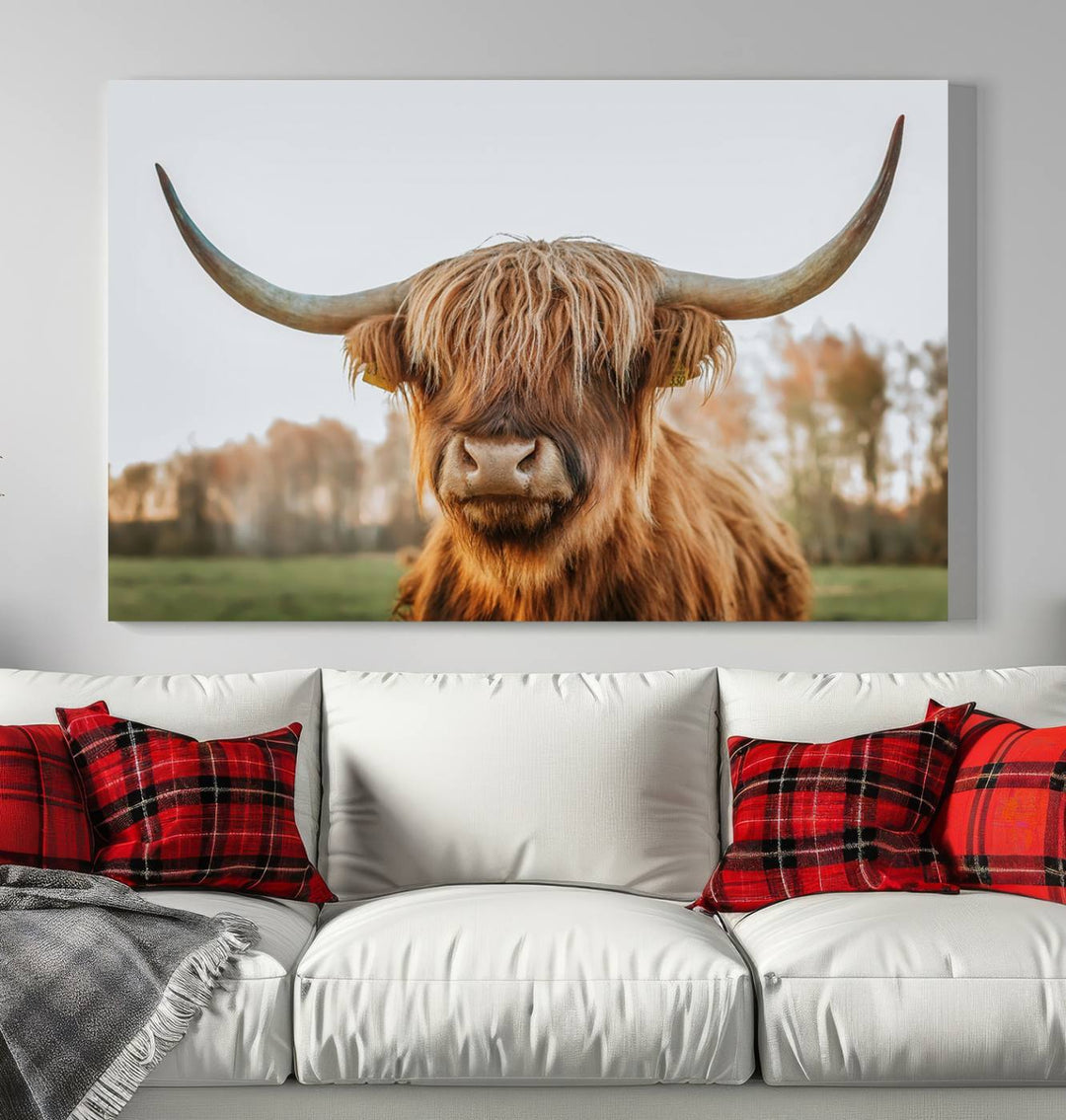 Scottish Cow Stuffed Animal Wall Art Canvas