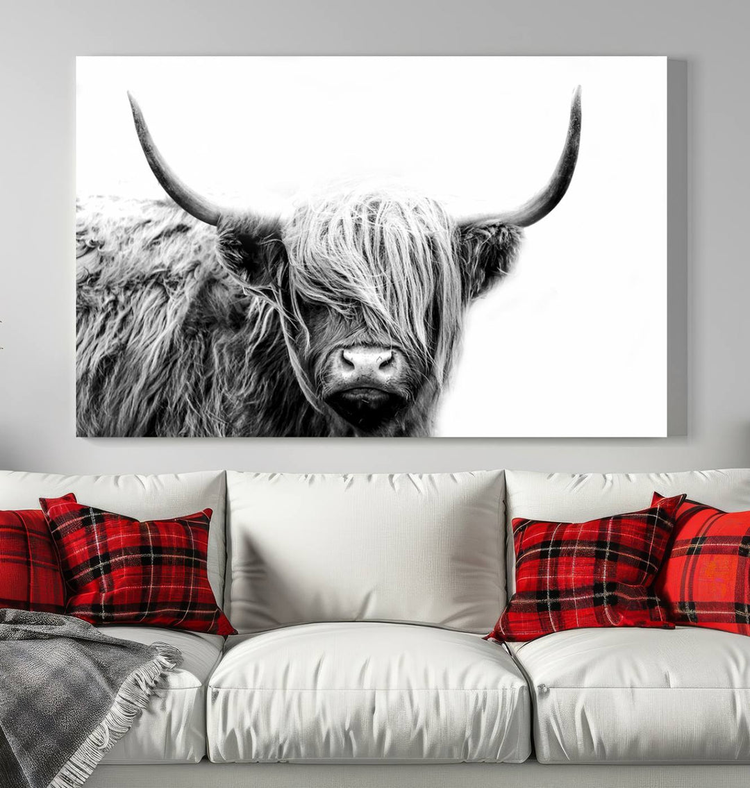 Scottish Cow Stuffed Animal Wall Art Canvas