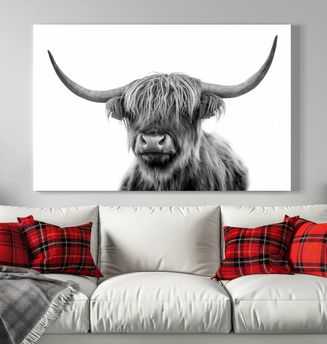 Scottish Cow Stuffed Animal Wall Art Canvas