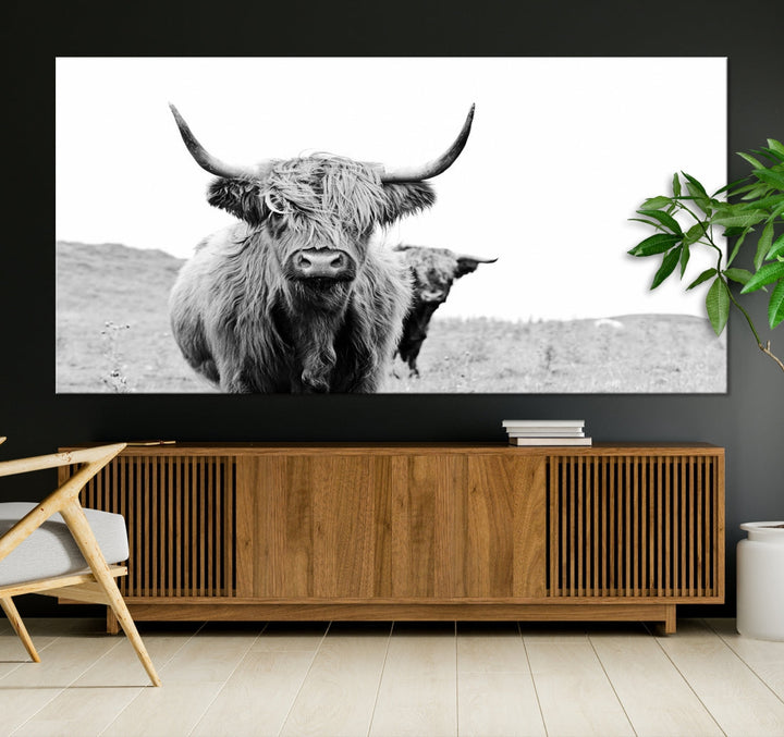 Beautiful Highland Cow Canvas Wall Art Modern Home Decor