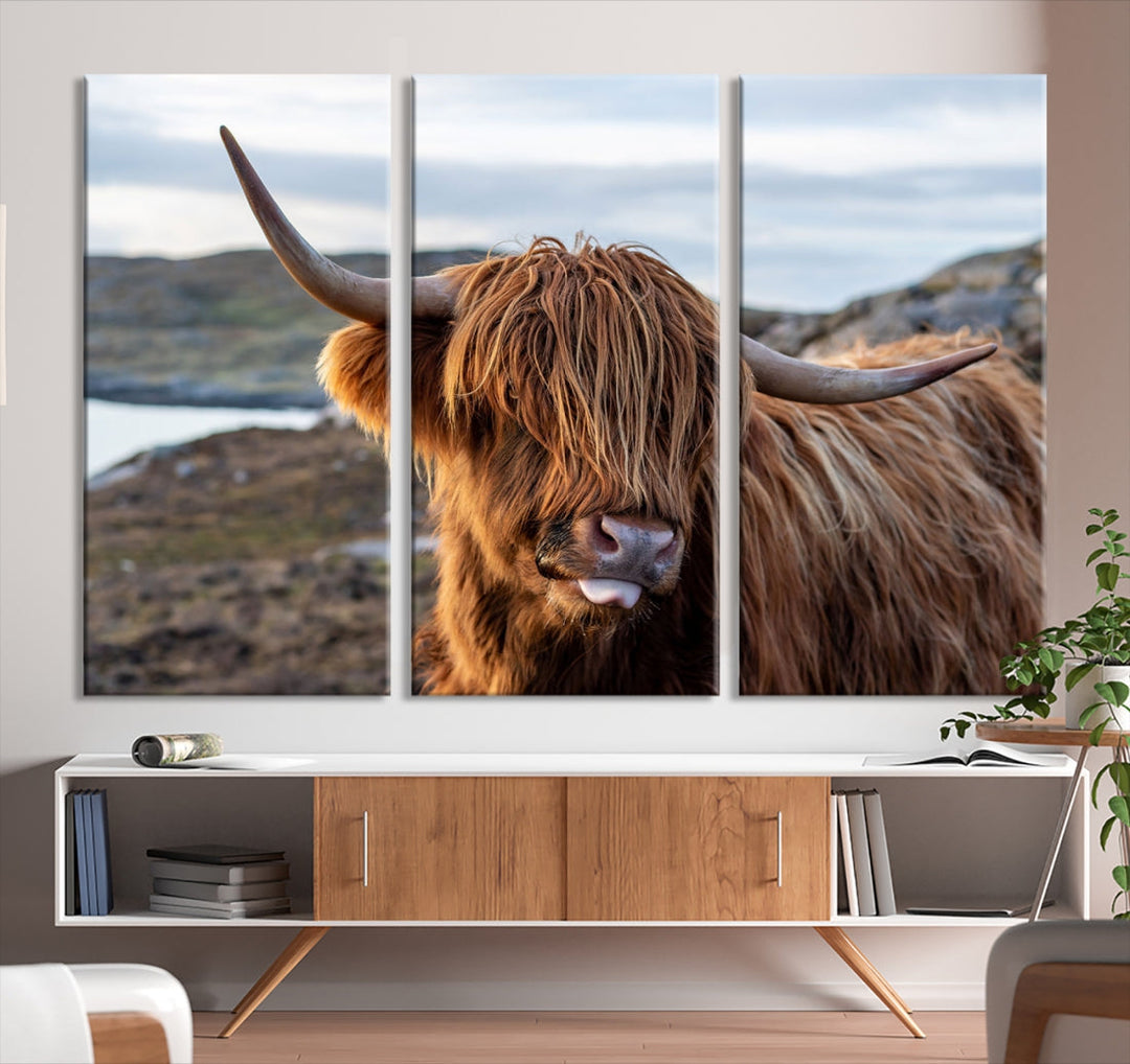 Cuddly Highland Cow Canvas Photo Wall Art Print Highlands Art Cute Animal Wall Art