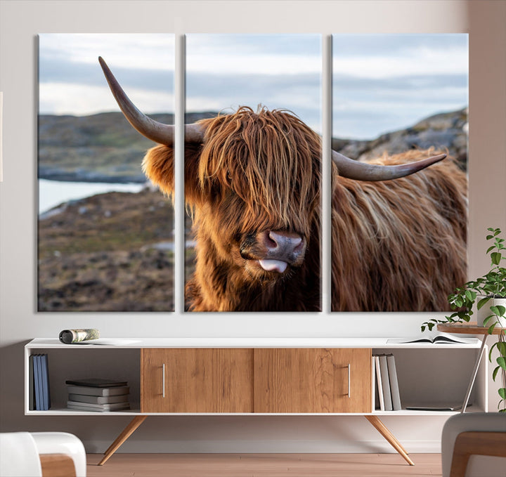 Cuddly Highland Cow Canvas Photo Wall Art Print Highlands Art Cute Animal Wall Art