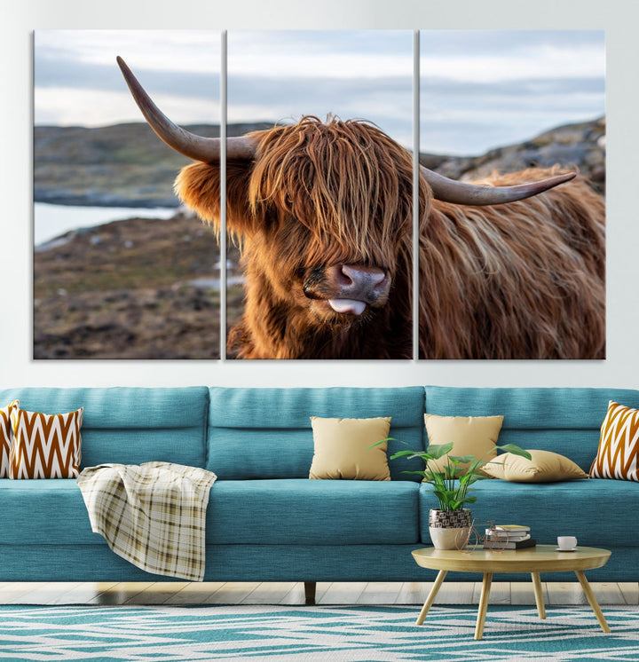 Cuddly Highland Cow Canvas Photo Wall Art Print Highlands Art Cute Animal Wall Art