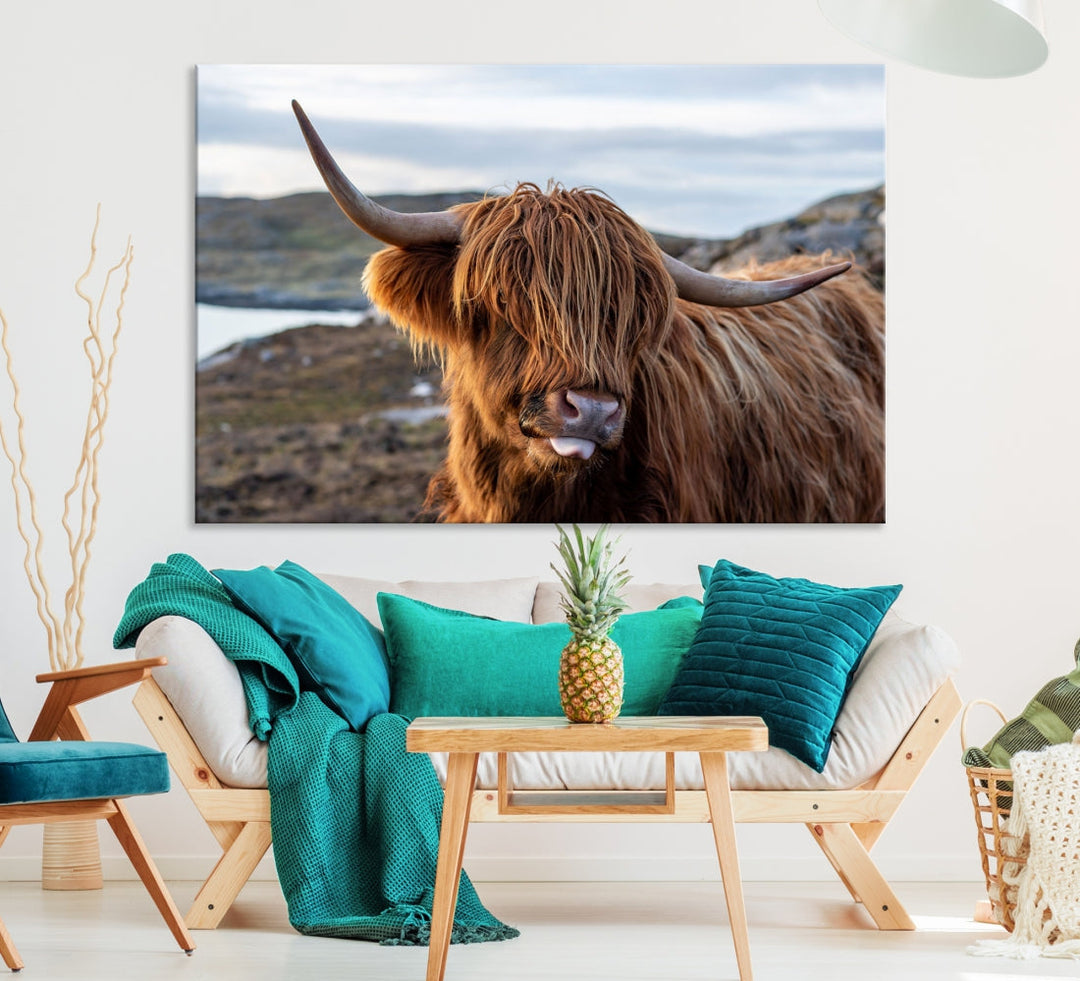 Cuddly Highland Cow Canvas Photo Wall Art Print Highlands Art Cute Animal Wall Art