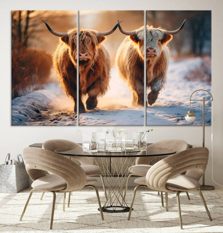 Scottish Highland Cow Horn Farm Wall Art Canvas Print