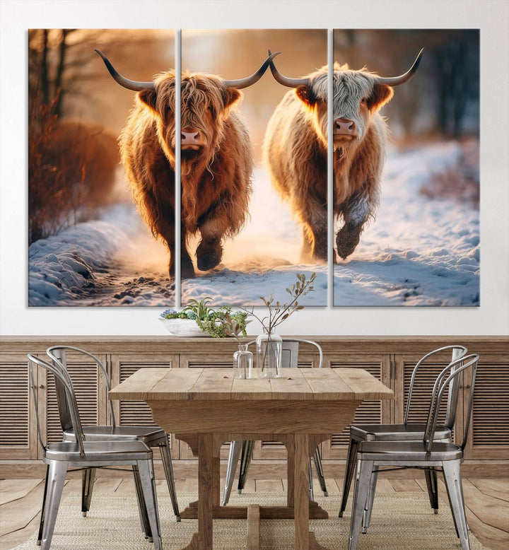 Scottish Highland Cow Horn Farm Wall Art Canvas Print