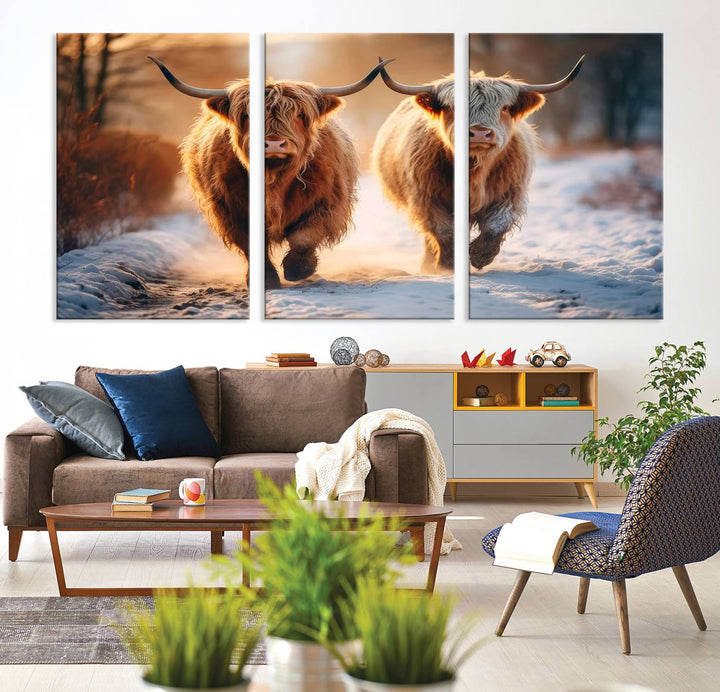 Scottish Highland Cow Horn Farm Wall Art Canvas Print