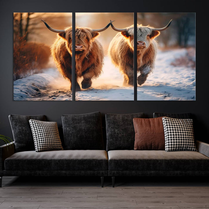 Scottish Highland Cow Horn Farm Wall Art Canvas Print