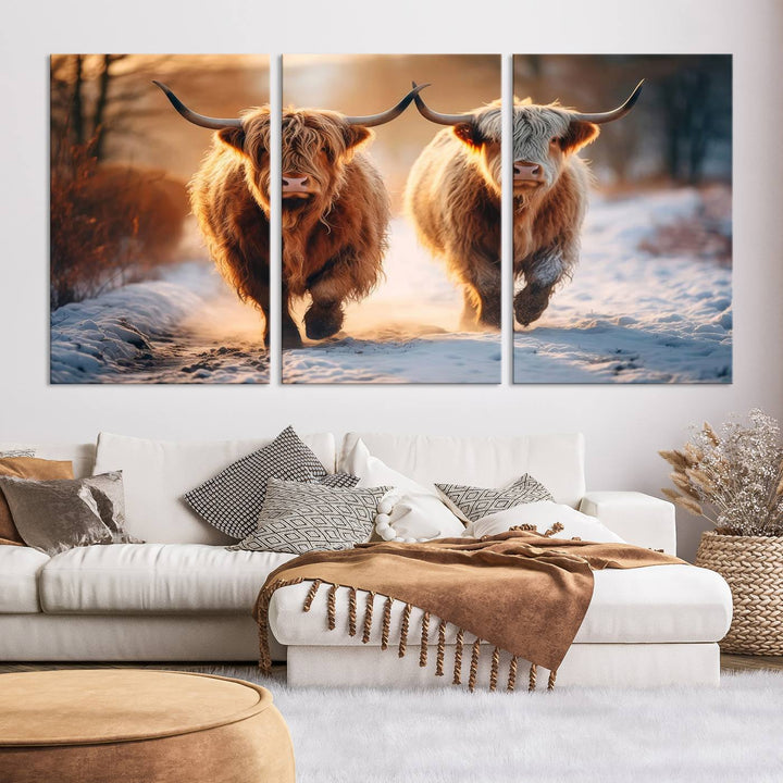 Scottish Highland Cow Horn Farm Wall Art Canvas Print