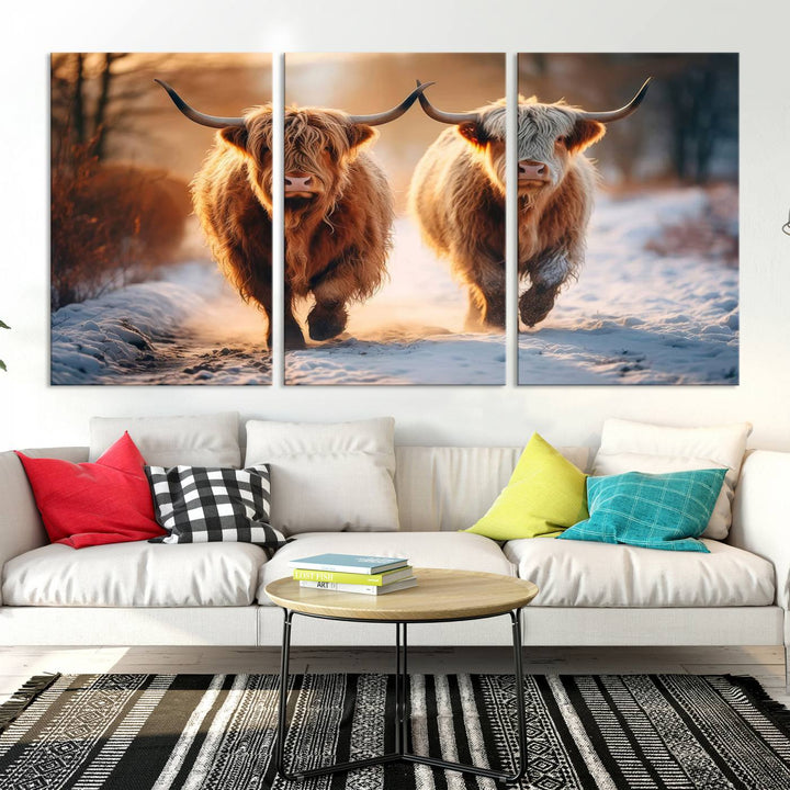 Scottish Highland Cow Horn Farm Wall Art Canvas Print