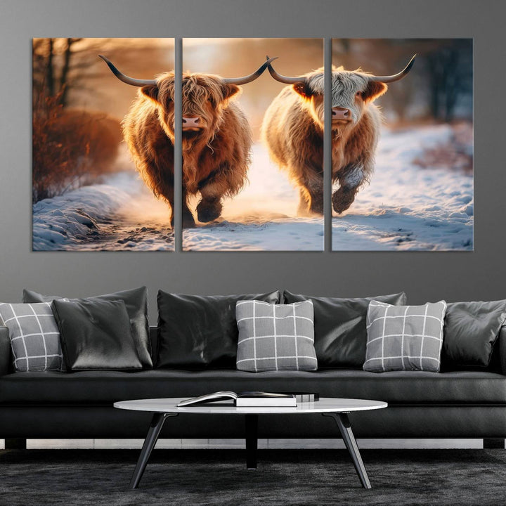 Scottish Highland Cow Horn Farm Wall Art Canvas Print