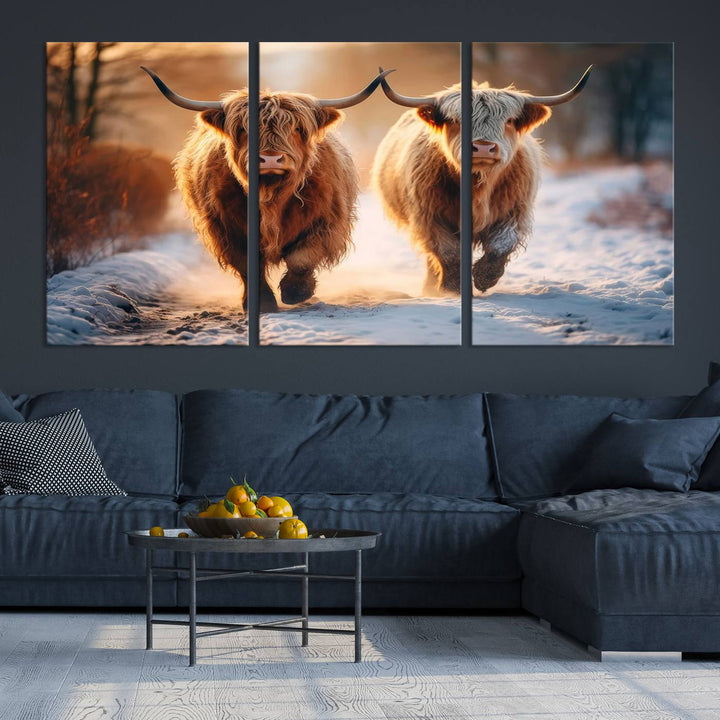 Scottish Highland Cow Horn Farm Wall Art Canvas Print