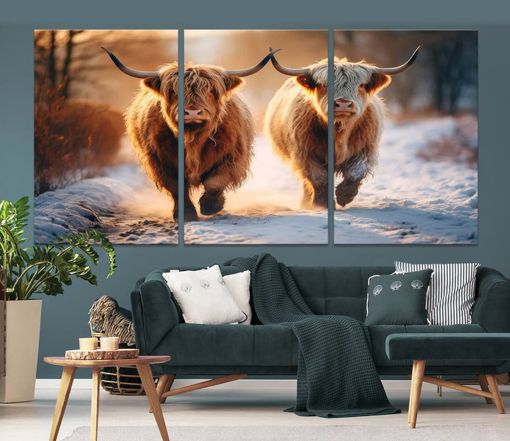 Scottish Highland Cow Horn Farm Wall Art Canvas Print