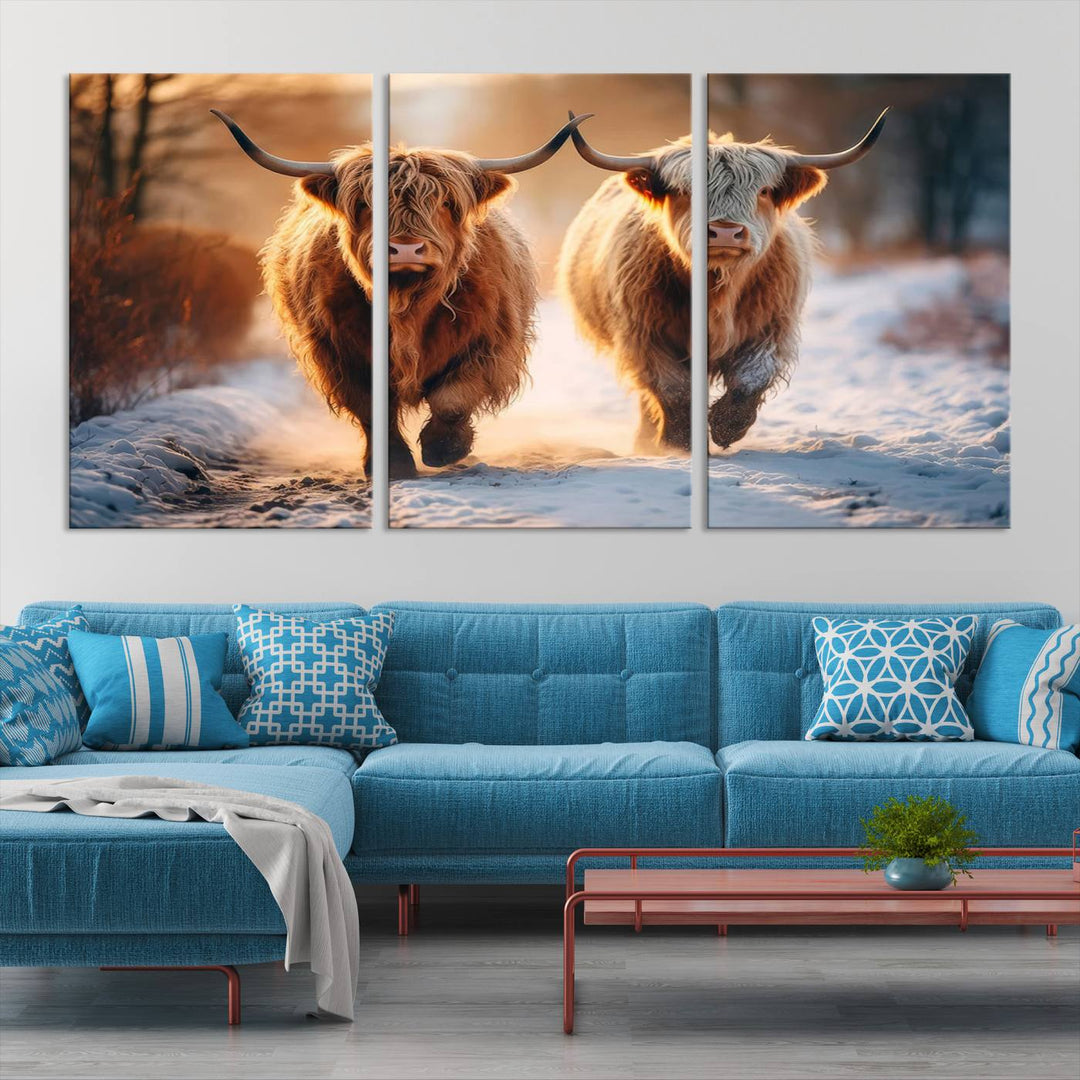 Scottish Highland Cow Horn Farm Wall Art Canvas Print