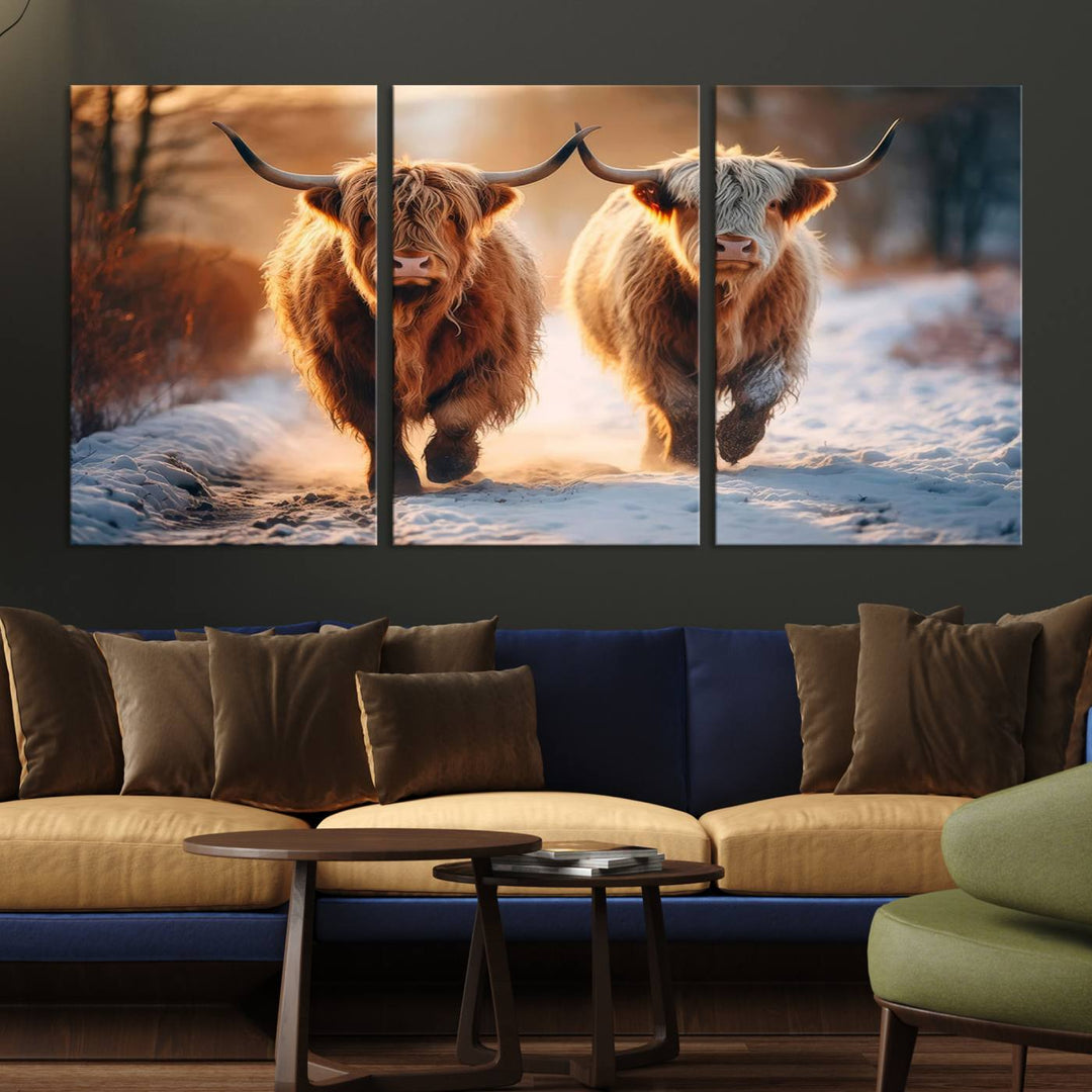 Scottish Highland Cow Horn Farm Wall Art Canvas Print