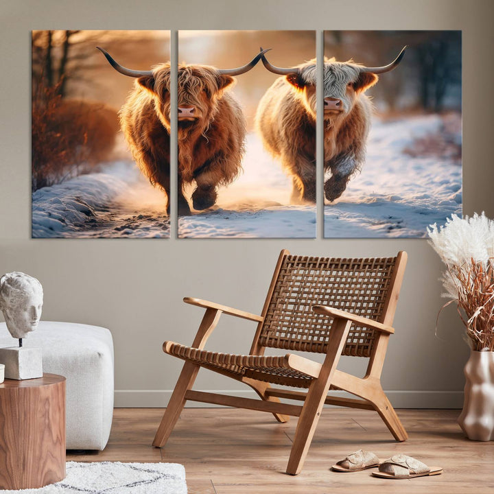 Scottish Highland Cow Horn Farm Wall Art Canvas Print