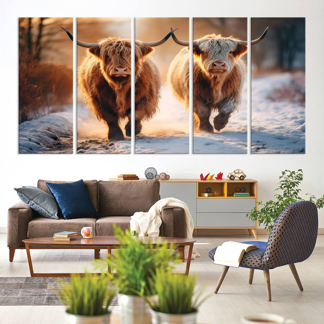 Scottish Highland Cow Horn Farm Wall Art Canvas Print