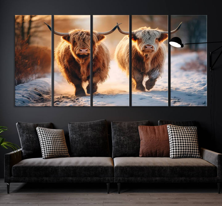 Scottish Highland Cow Horn Farm Wall Art Canvas Print