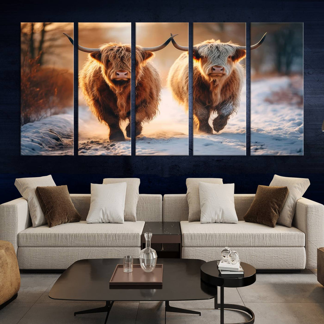 Scottish Highland Cow Horn Farm Wall Art Canvas Print