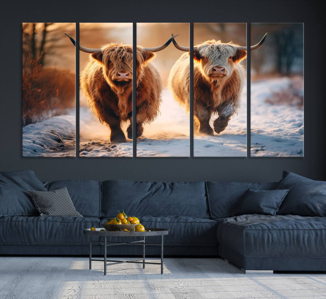 Scottish Highland Cow Horn Farm Wall Art Canvas Print