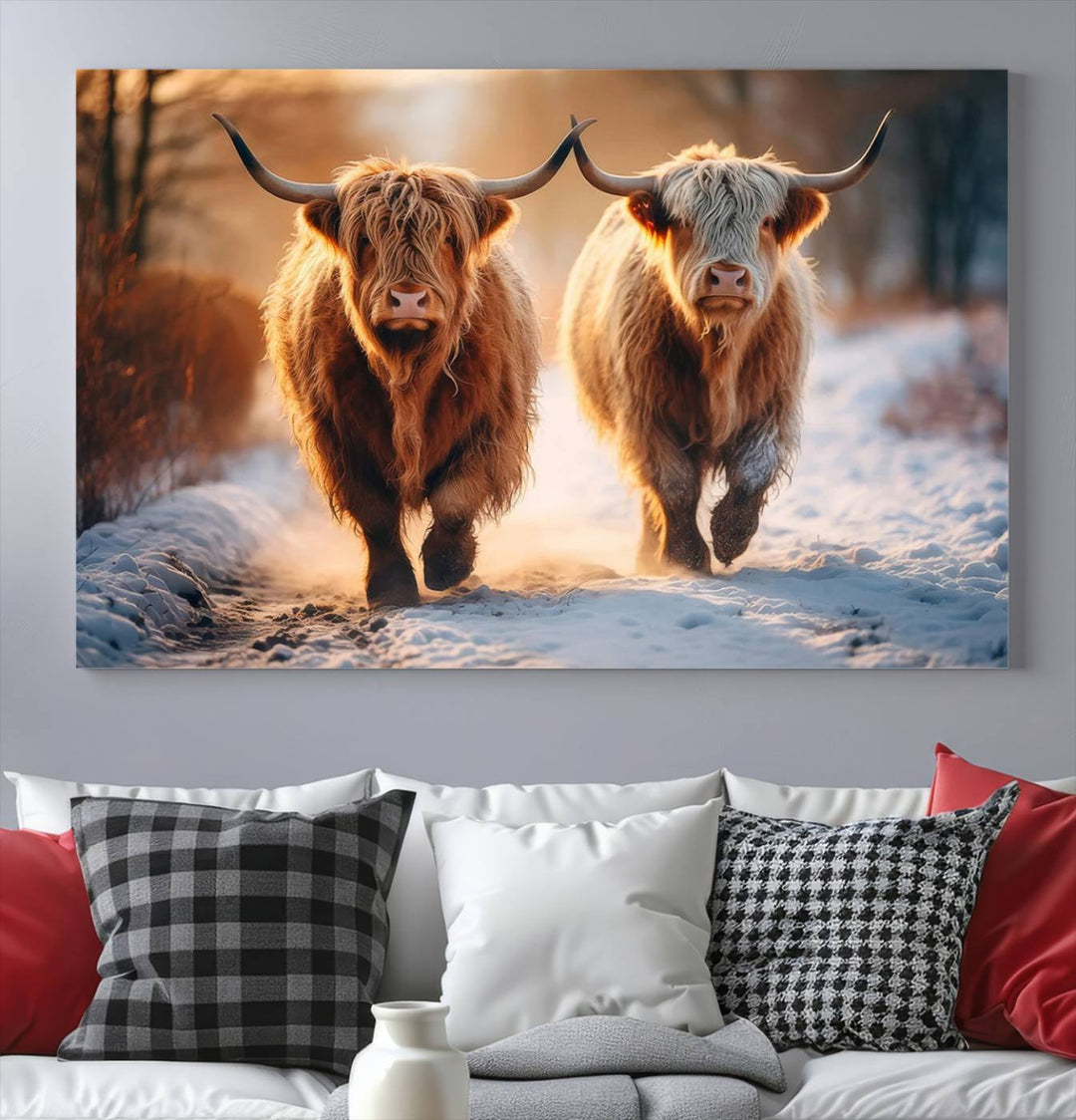 Scottish Highland Cow Horn Farm Wall Art Canvas Print