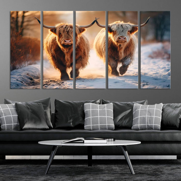 Scottish Highland Cow Horn Farm Wall Art Canvas Print