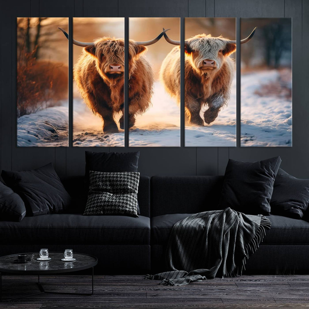 Scottish Highland Cow Horn Farm Wall Art Canvas Print