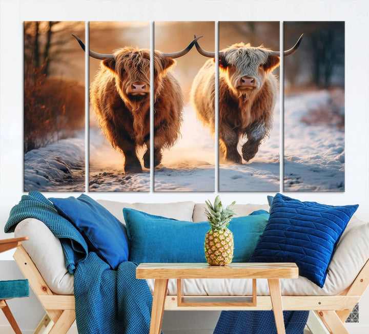 Scottish Highland Cow Horn Farm Wall Art Canvas Print