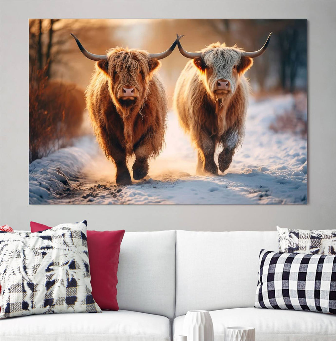 Scottish Highland Cow Horn Farm Wall Art Canvas Print