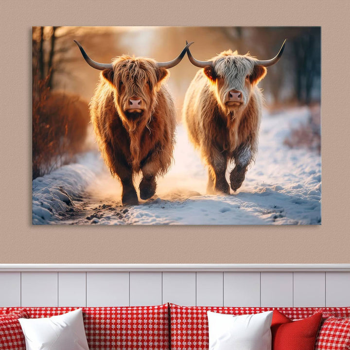 Scottish Highland Cow Horn Farm Wall Art Canvas Print