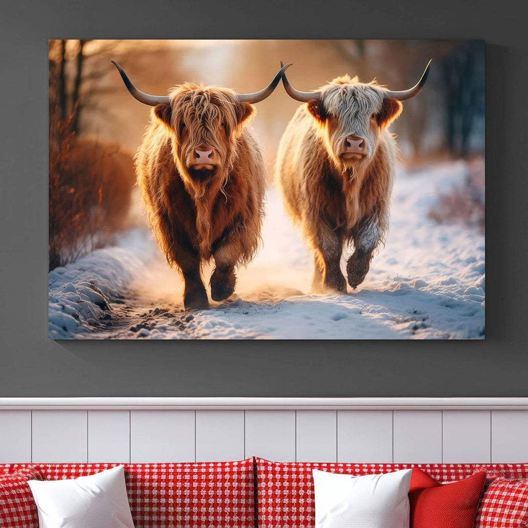 Scottish Highland Cow Horn Farm Wall Art Canvas Print