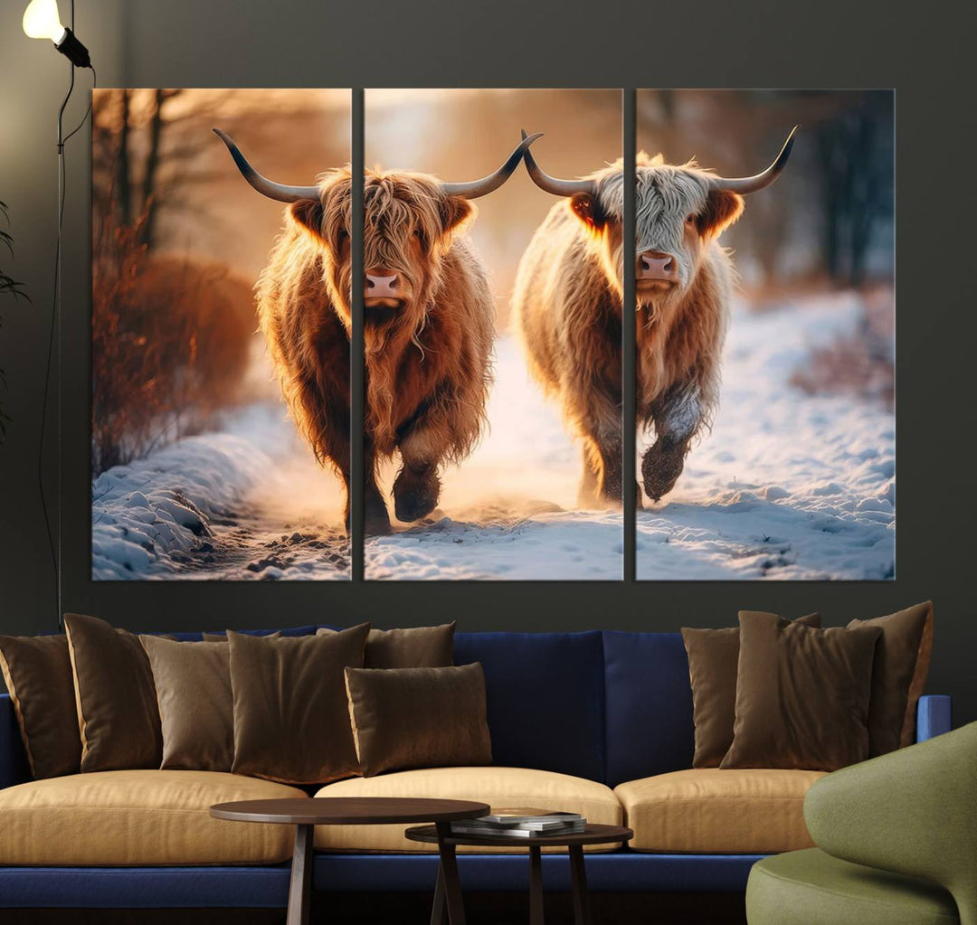 Scottish Highland Cow Horn Farm Wall Art Canvas Print