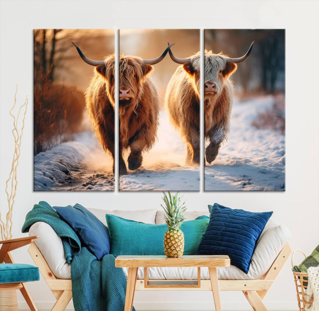 Scottish Highland Cow Horn Farm Wall Art Canvas Print