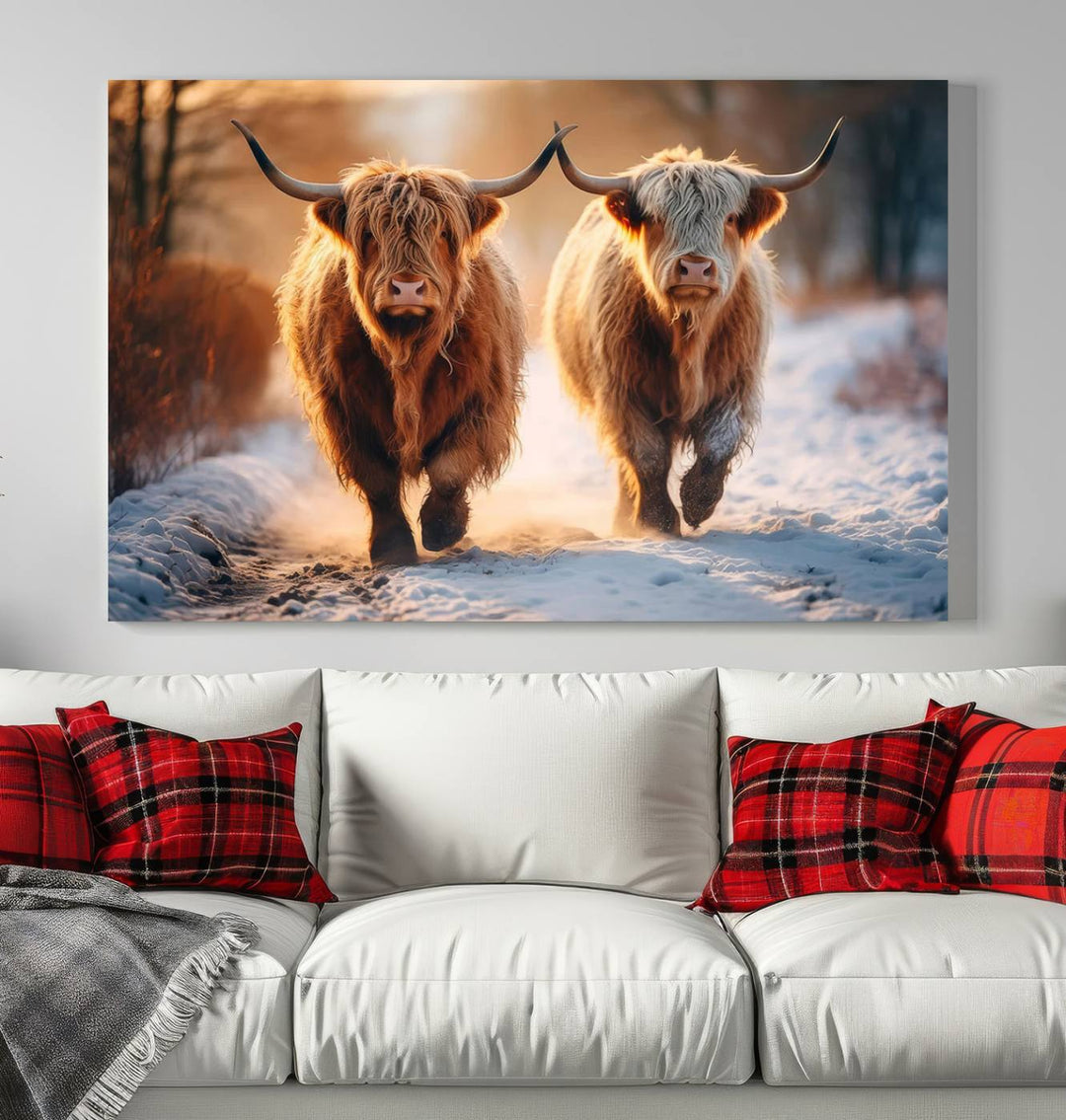 Scottish Highland Cow Horn Farm Wall Art Canvas Print