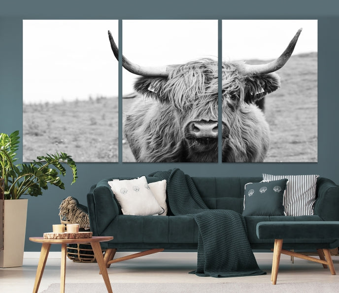 Newfoundland Cow Art Large Wall Art Canvas Print