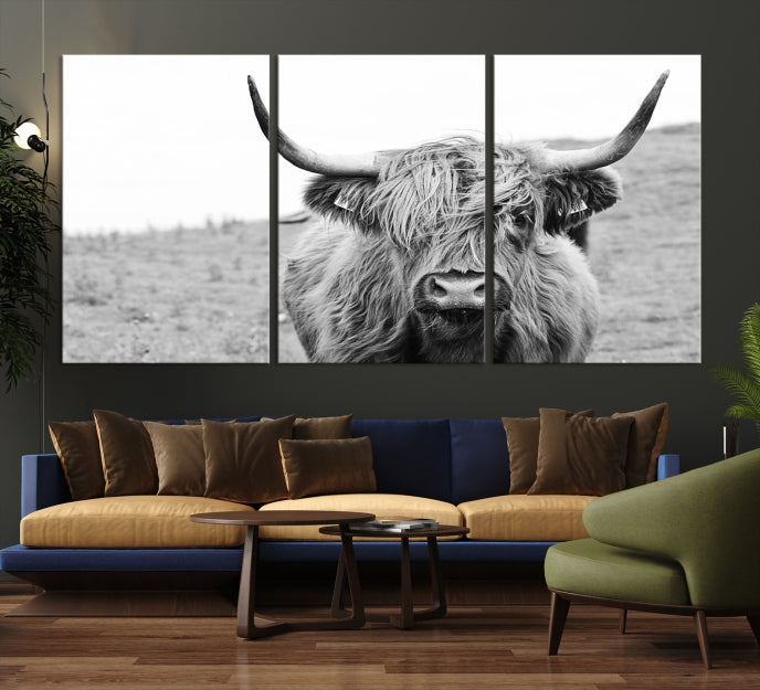 Newfoundland Cow Art Large Wall Art Canvas Print