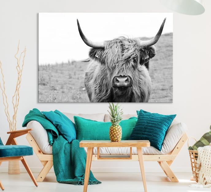 Newfoundland Cow Art Large Wall Art Canvas Print