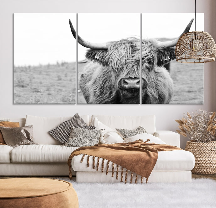 Newfoundland Cow Art Large Wall Art Canvas Print