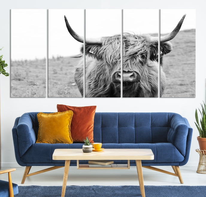 Newfoundland Cow Art Large Wall Art Canvas Print