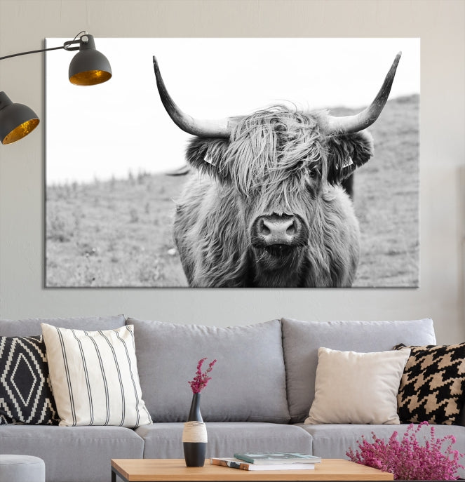 Newfoundland Cow Art Large Wall Art Canvas Print