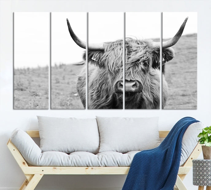 Newfoundland Cow Art Large Wall Art Canvas Print